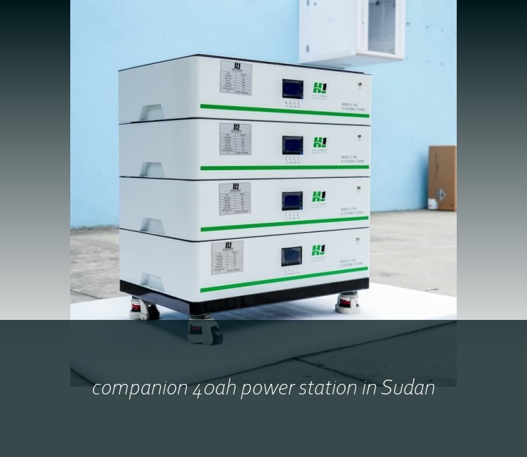 companion 40ah power station in Sudan