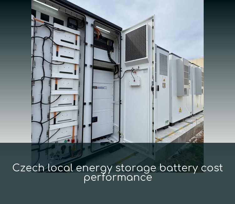 Czech local energy storage battery cost performance