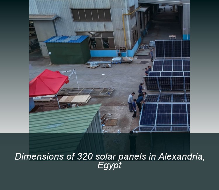 Dimensions of 320 solar panels in Alexandria, Egypt