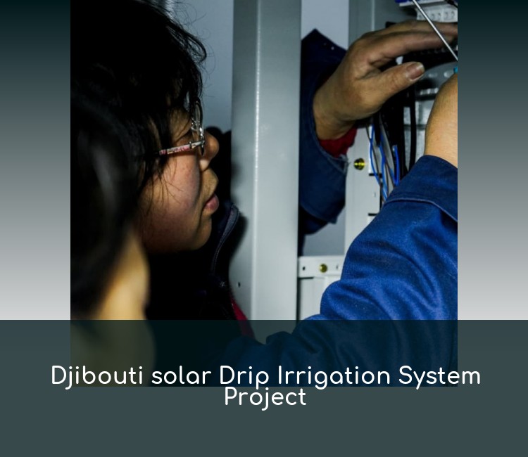Djibouti solar Drip Irrigation System Project