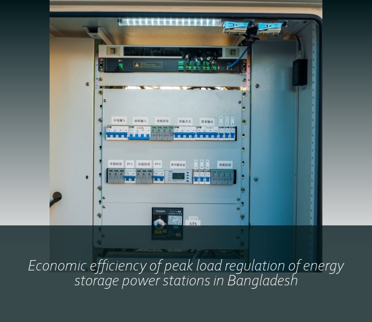 Economic efficiency of peak load regulation of energy storage power stations in Bangladesh