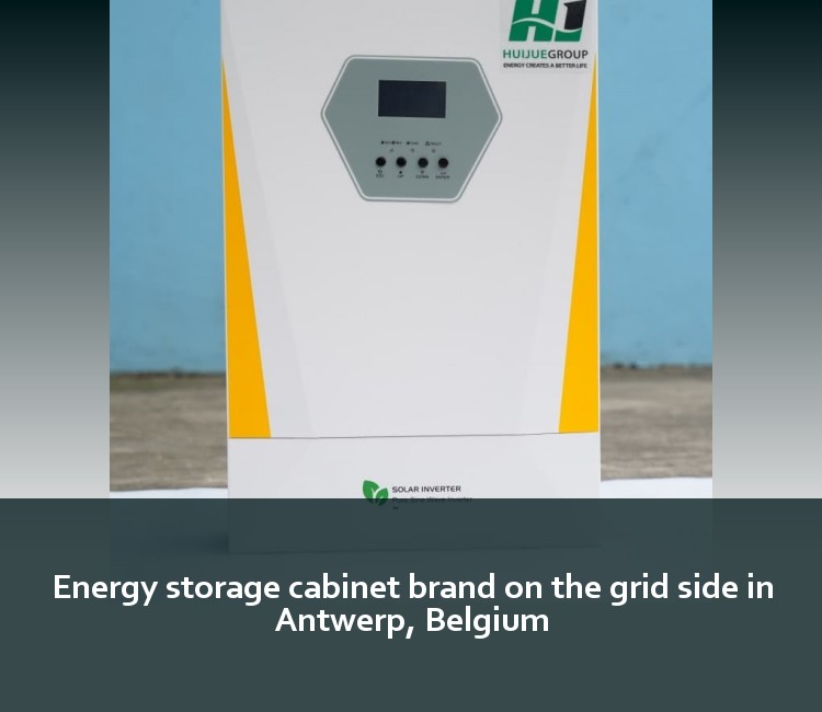 Energy storage cabinet brand on the grid side in Antwerp, Belgium
