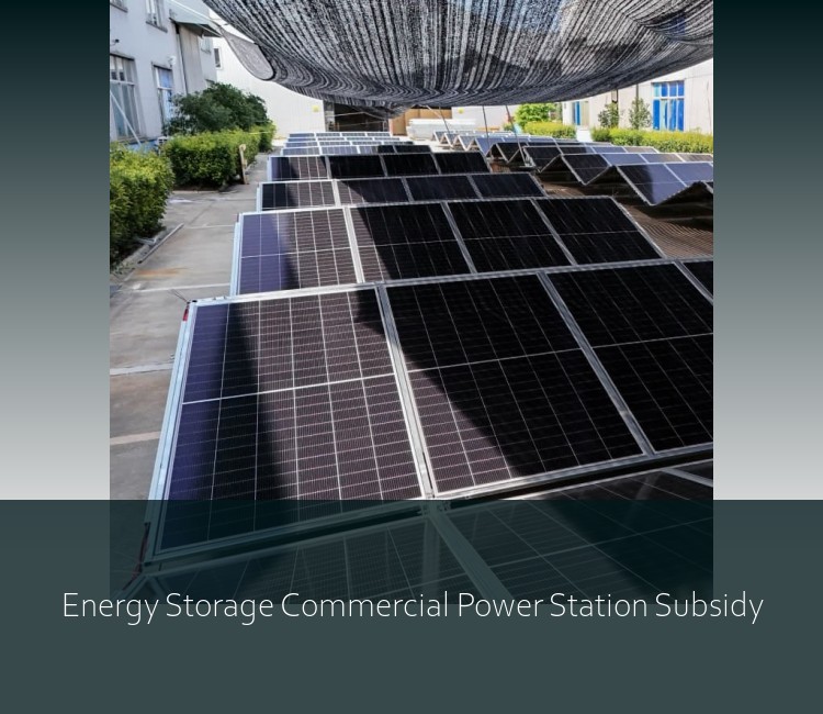 Energy Storage Commercial Power Station Subsidy