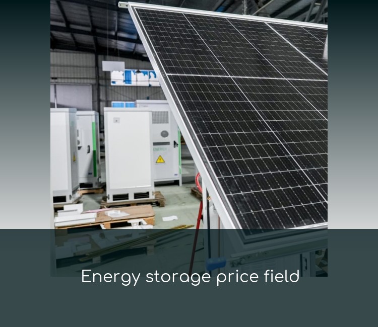Energy storage price field