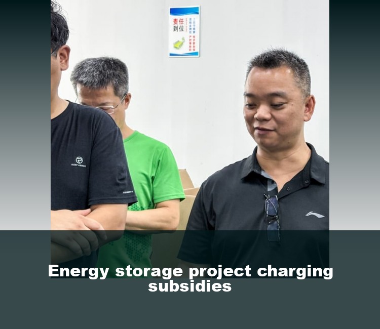 Energy storage project charging subsidies