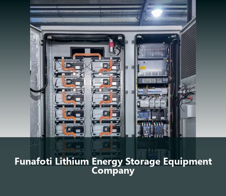 Funafoti Lithium Energy Storage Equipment Company