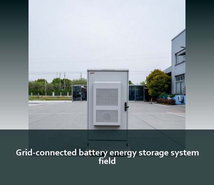 Grid-connected battery energy storage system field