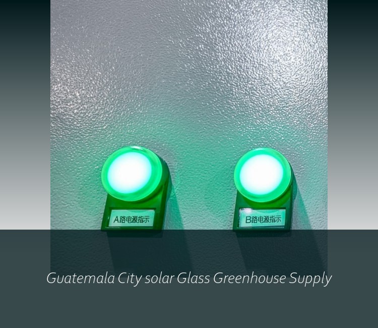 Guatemala City solar Glass Greenhouse Supply