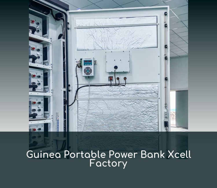 Guinea Portable Power Bank Xcell Factory
