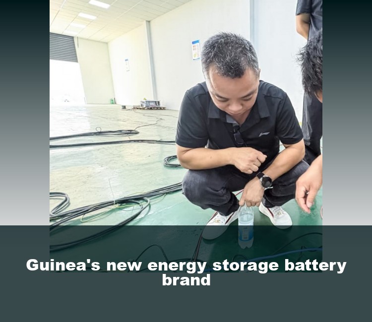 Guinea's new energy storage battery brand