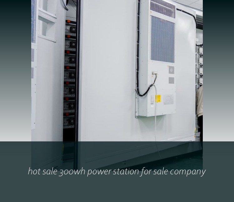 hot sale 300wh power station for sale company