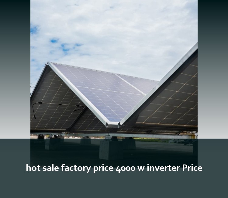 hot sale factory price 4000 w inverter Price