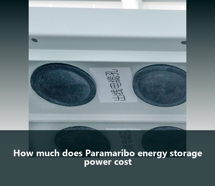 How much does Paramaribo energy storage power cost
