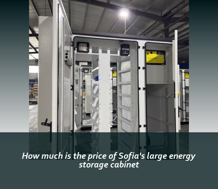 How much is the price of Sofia's large energy storage cabinet