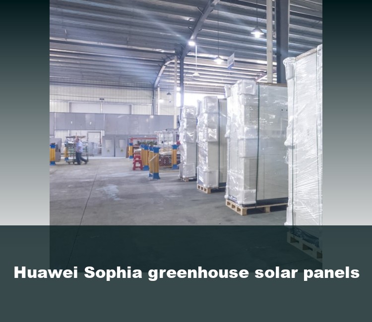 Huawei Sophia greenhouse solar panels
