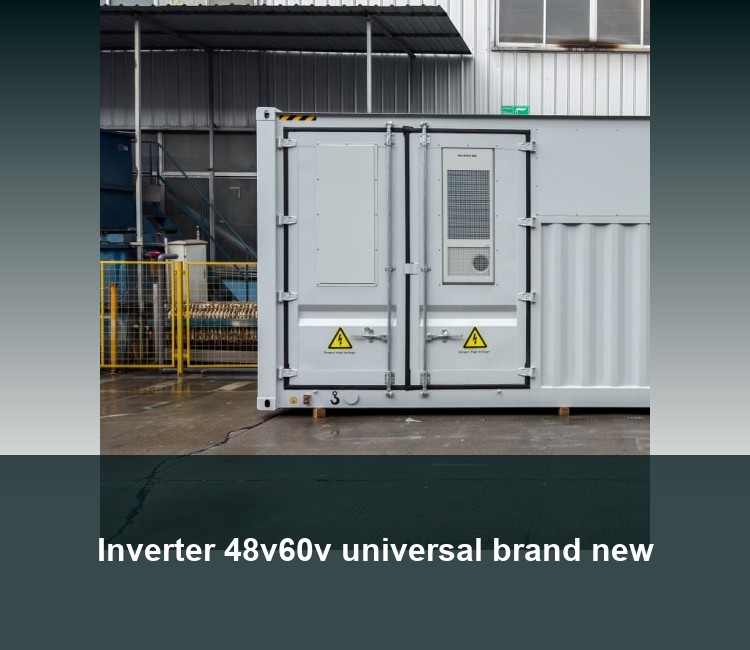 Inverter 48v60v universal brand new