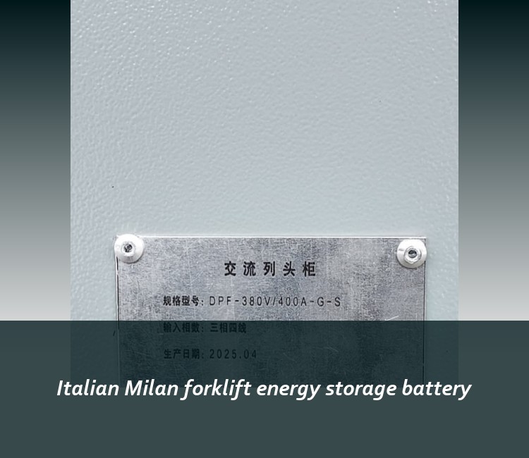 Italian Milan forklift energy storage battery