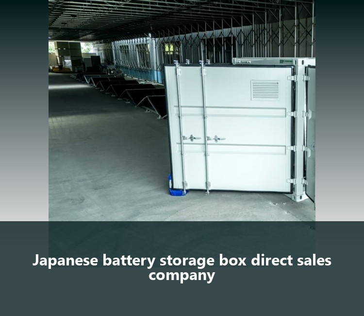 Japanese battery storage box direct sales company