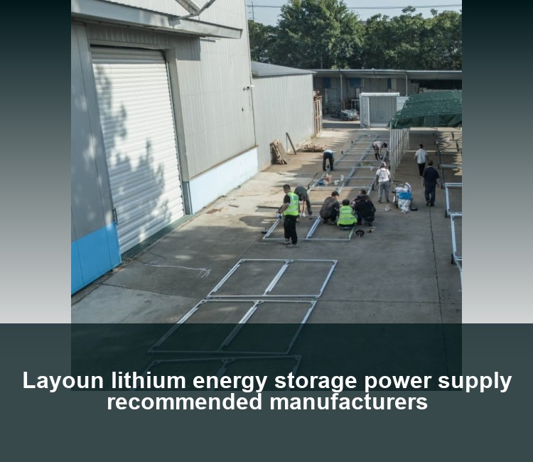 Layoun lithium energy storage power supply recommended manufacturers