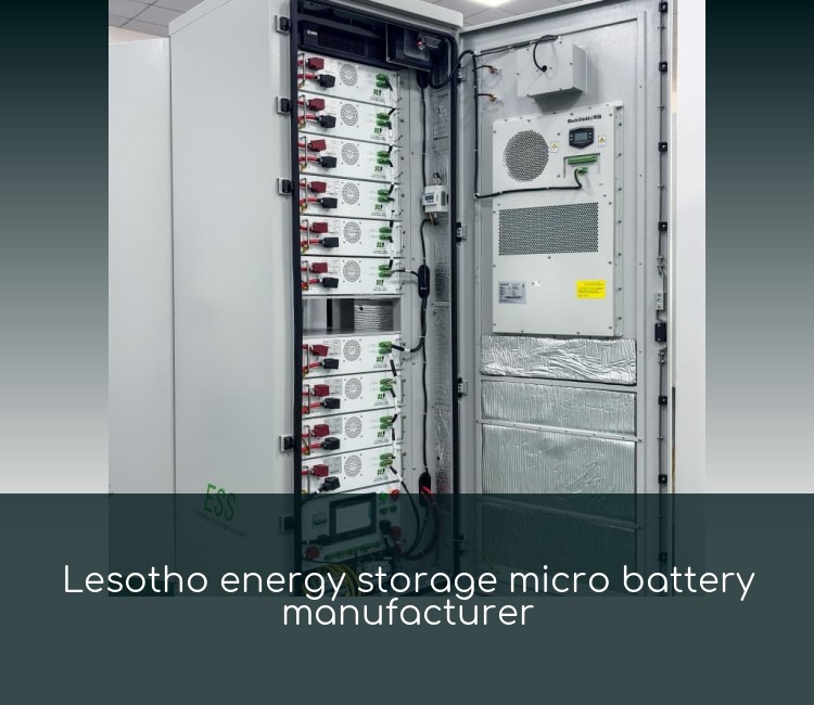 Lesotho energy storage micro battery manufacturer