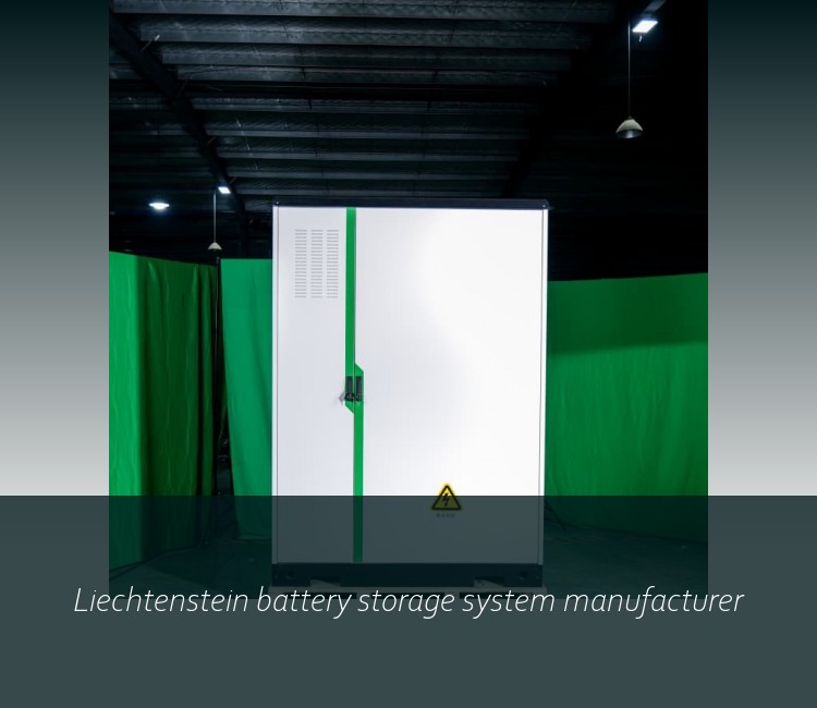 Liechtenstein battery storage system manufacturer