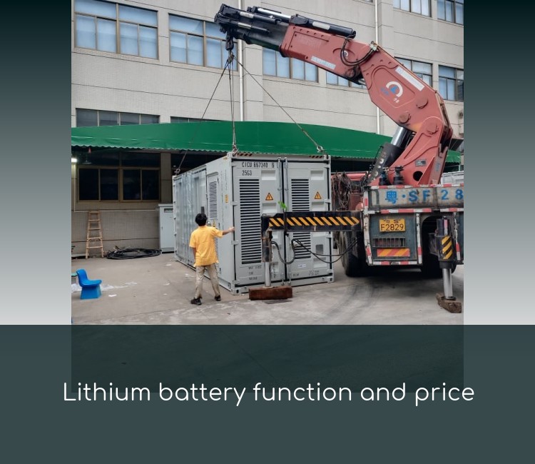 Lithium battery function and price