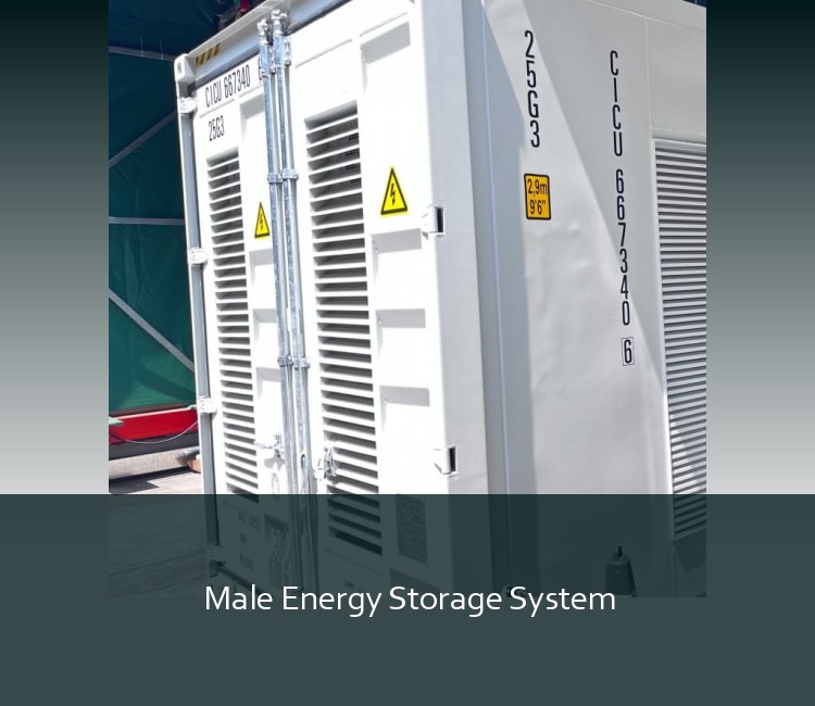 Male Energy Storage System