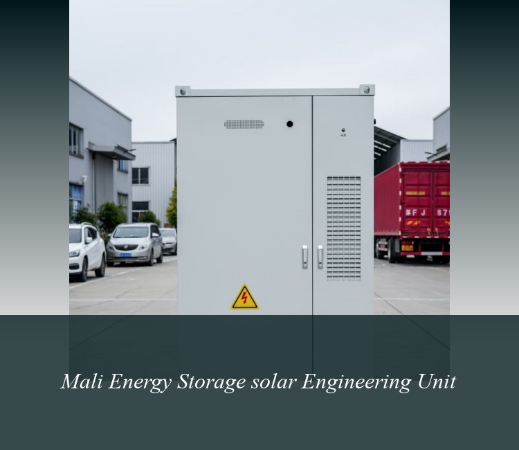 Mali Energy Storage solar Engineering Unit