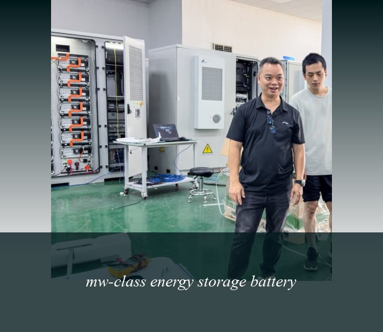mw-class energy storage battery