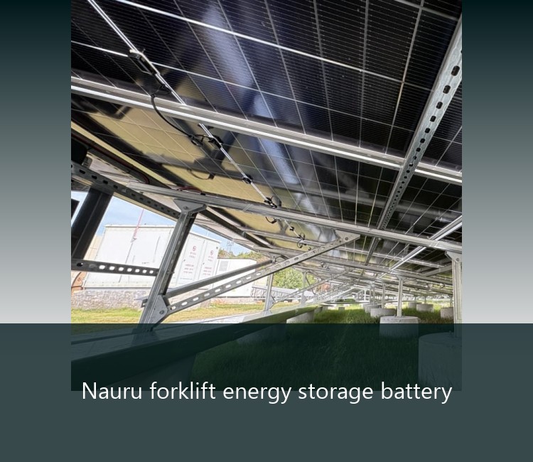 Nauru forklift energy storage battery