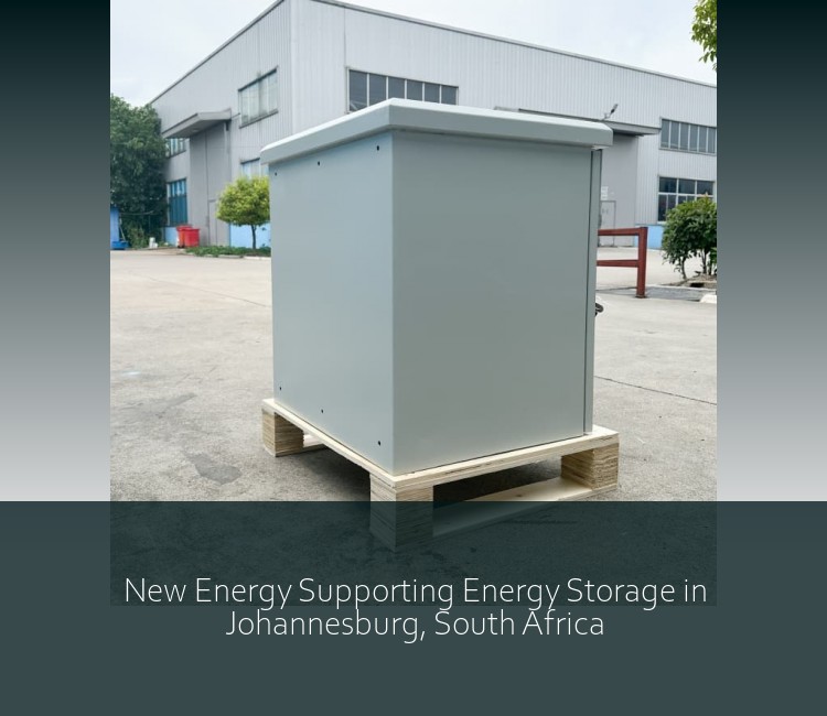 New Energy Supporting Energy Storage in Johannesburg, South Africa