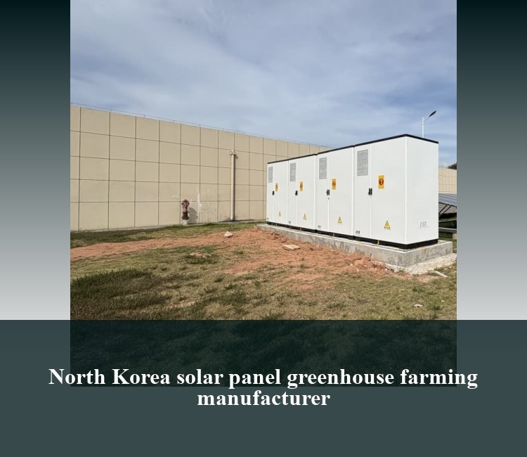 North Korea solar panel greenhouse farming manufacturer