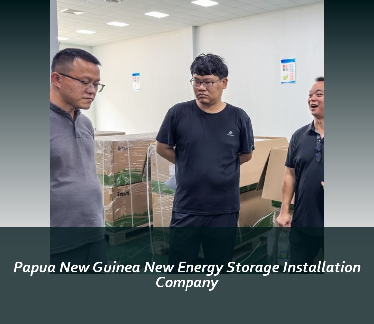 Papua New Guinea New Energy Storage Installation Company