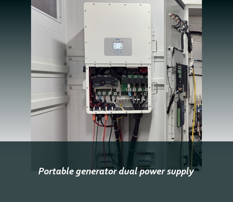 Portable generator dual power supply