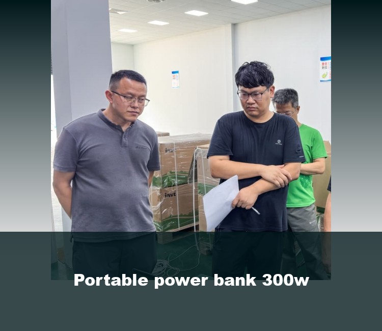 Portable power bank 300w
