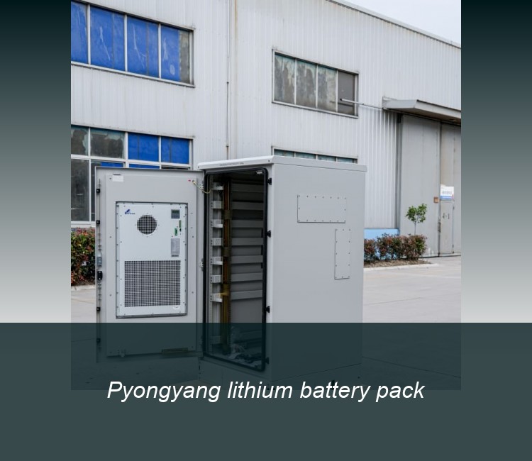 Pyongyang lithium battery pack