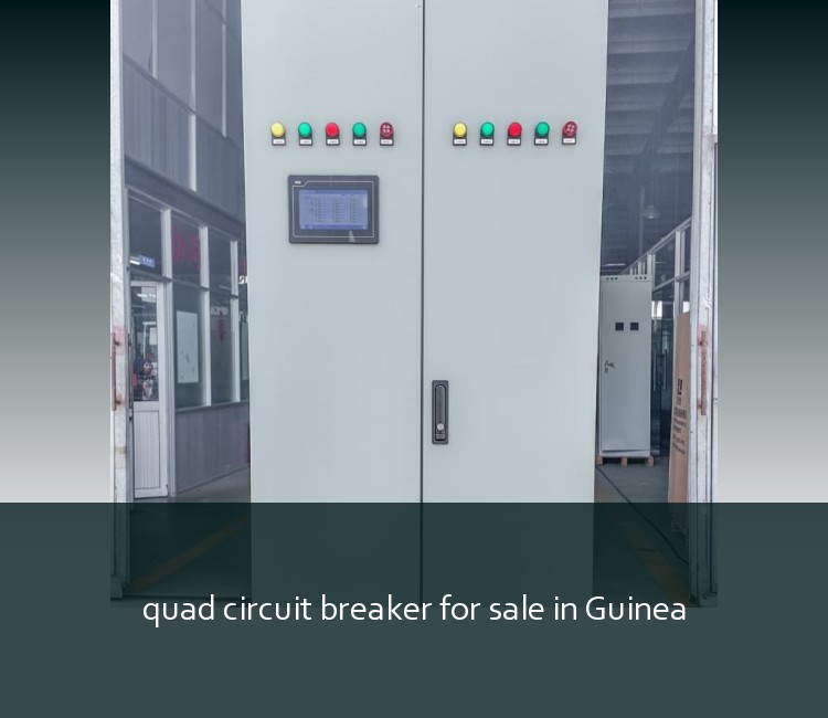 quad circuit breaker for sale in Guinea