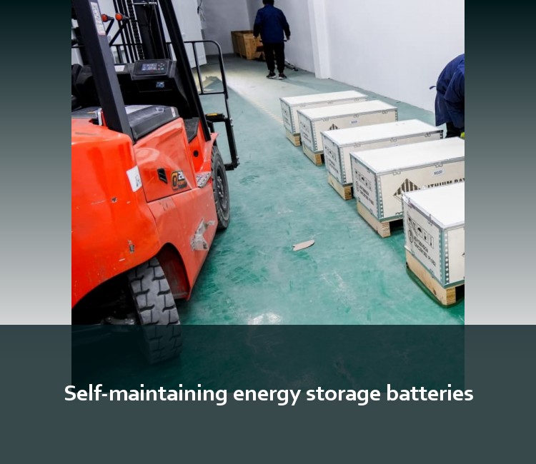 Self-maintaining energy storage batteries