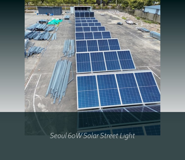 Seoul 60W Solar Street Light