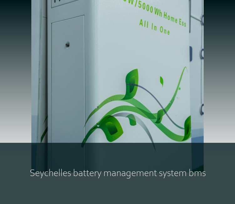 Seychelles battery management system bms