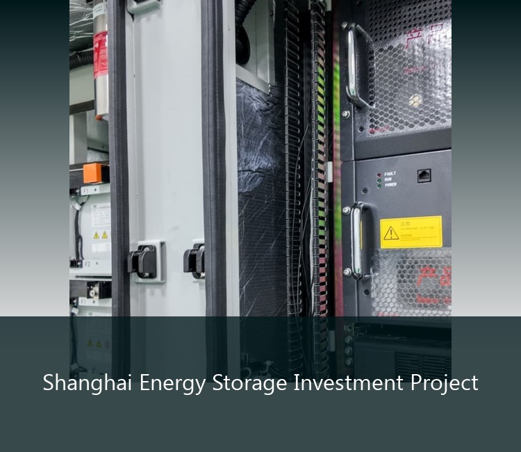 Shanghai Energy Storage Investment Project