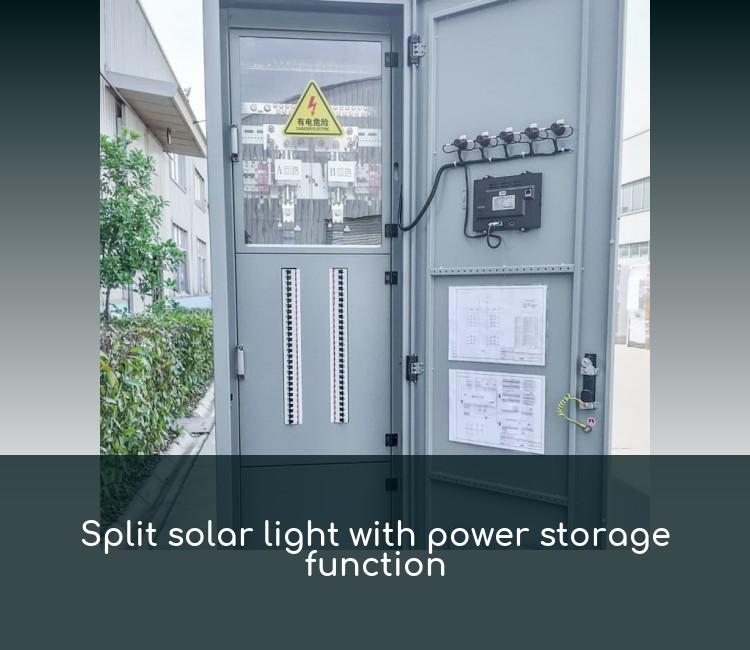 Split solar light with power storage function