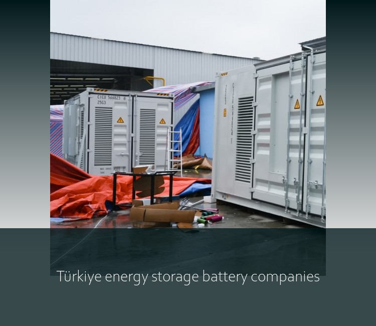 Türkiye energy storage battery companies