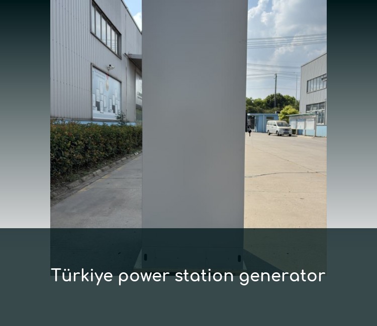 Türkiye power station generator