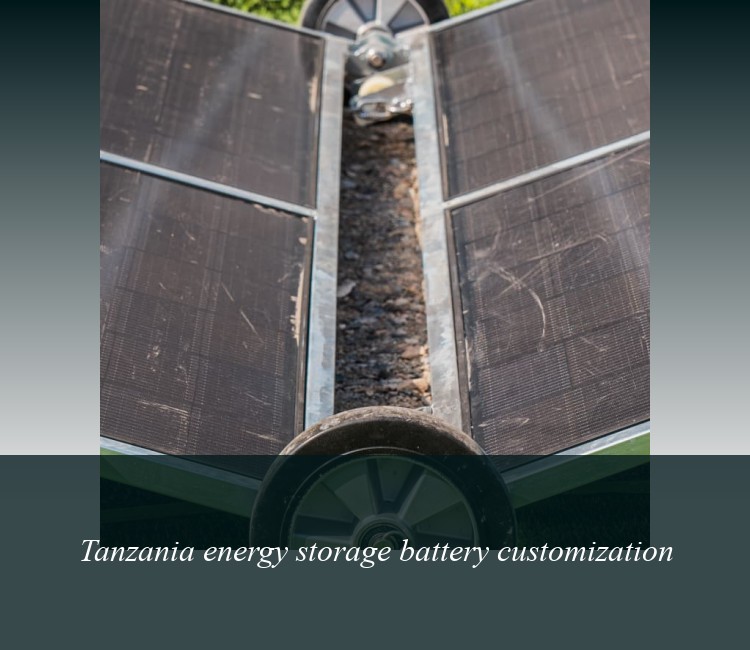 Tanzania energy storage battery customization