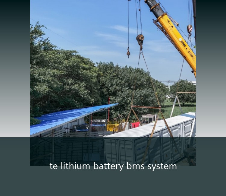 te lithium battery bms system