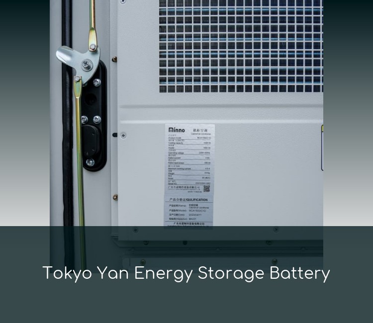 Tokyo Yan Energy Storage Battery