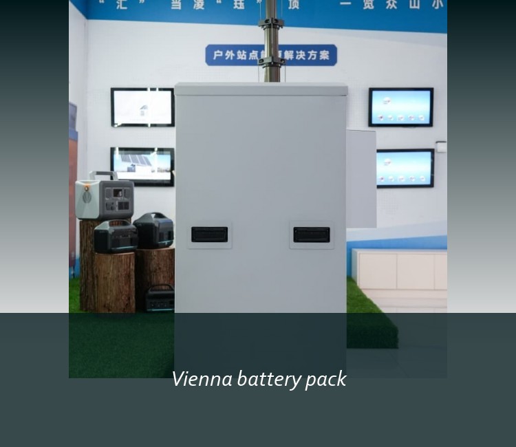 Vienna battery pack