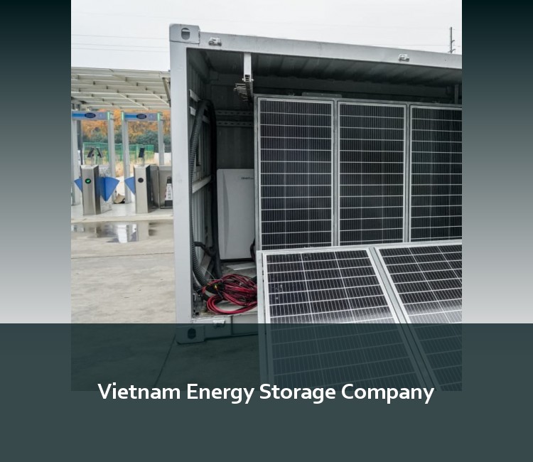 Vietnam Energy Storage Company