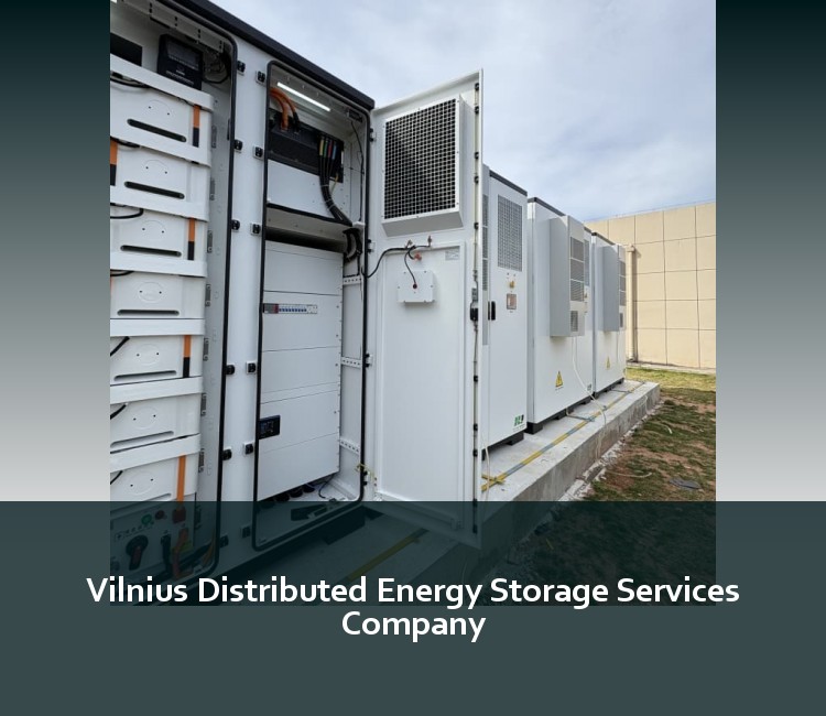 Vilnius Distributed Energy Storage Services Company
